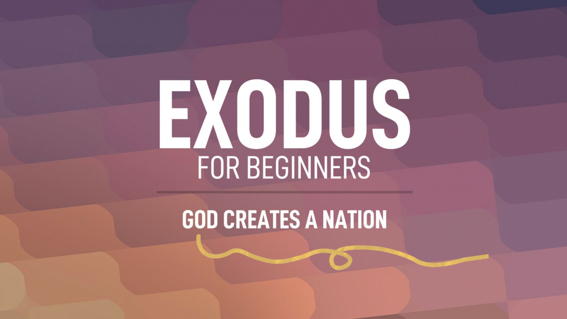 Exodus for Beginners