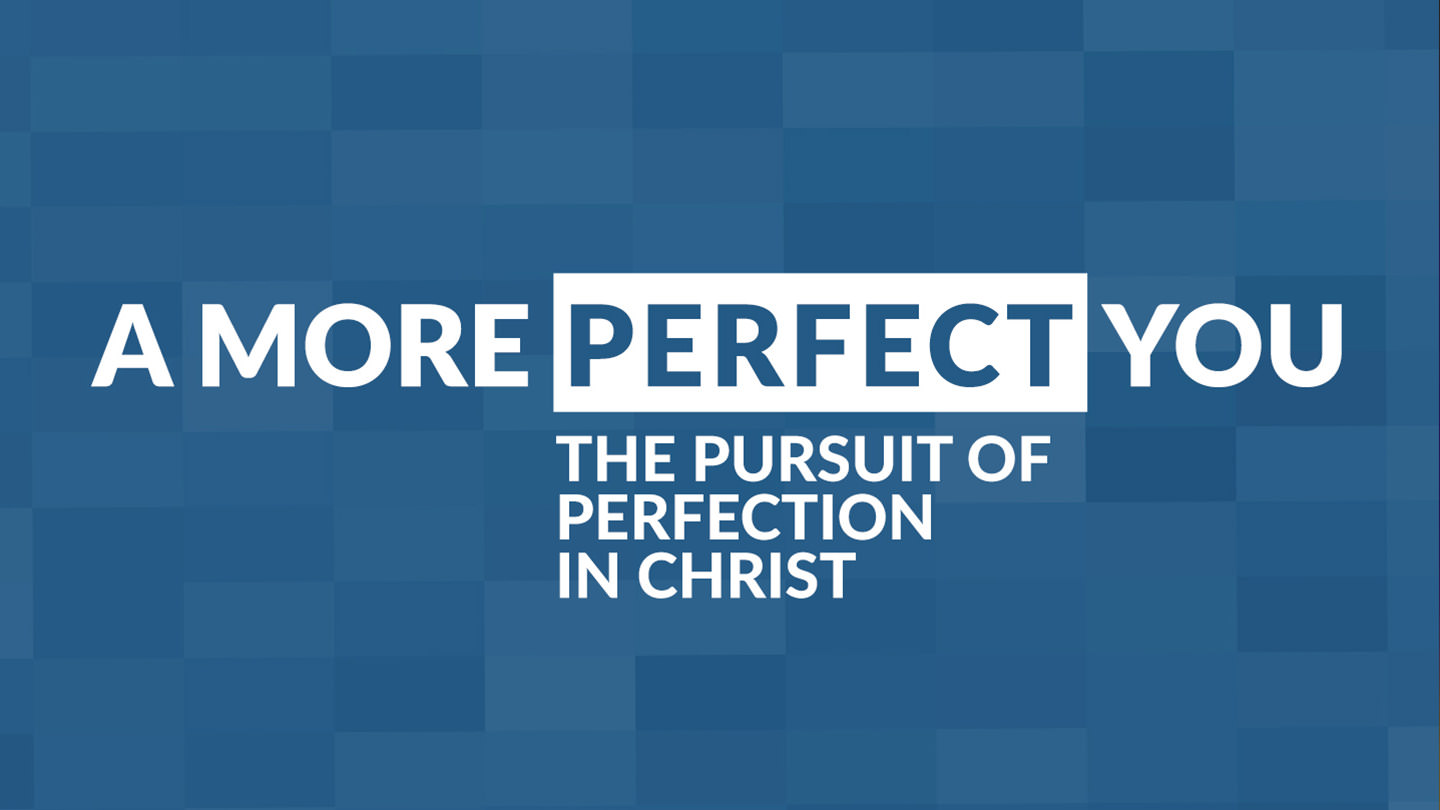 A More Perfect You