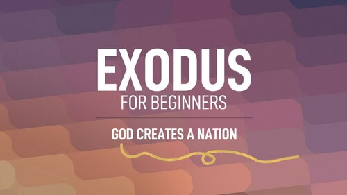 Exodus for Beginners