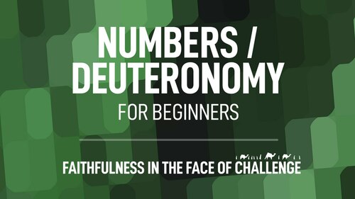 Numbers / Deuteronomy for Beginners